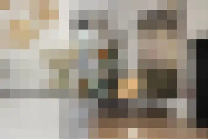 Sientje van Houtenlaan 21 Enschede thumbnail 10