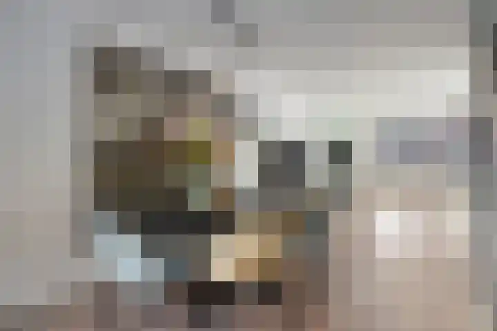 Sientje van Houtenlaan 21 Enschede thumbnail 11