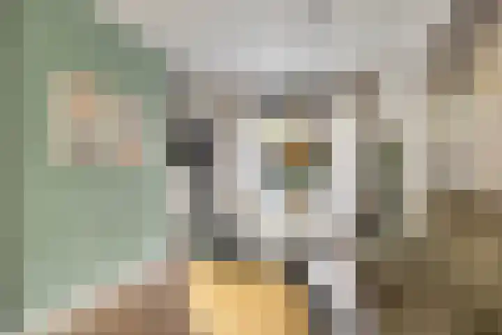 Sientje van Houtenlaan 21 Enschede thumbnail 12