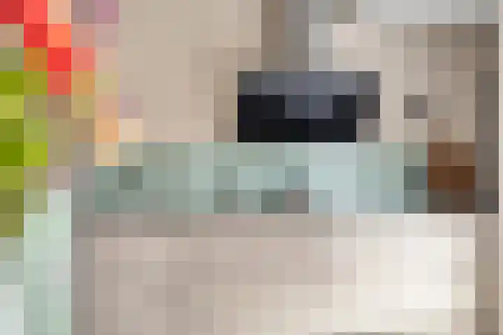 Sientje van Houtenlaan 21 Enschede thumbnail 14