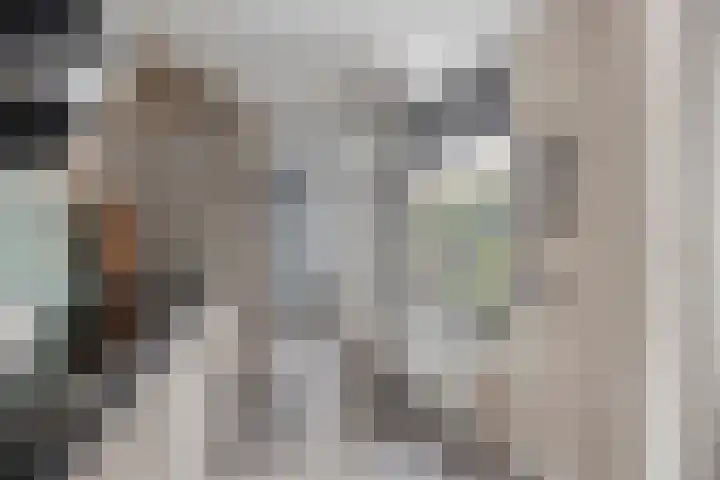 Sientje van Houtenlaan 21 Enschede thumbnail 17