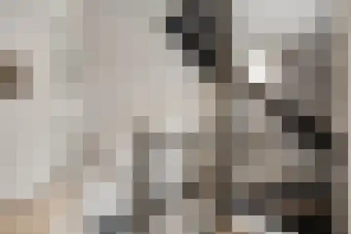 Sientje van Houtenlaan 21 Enschede thumbnail 20