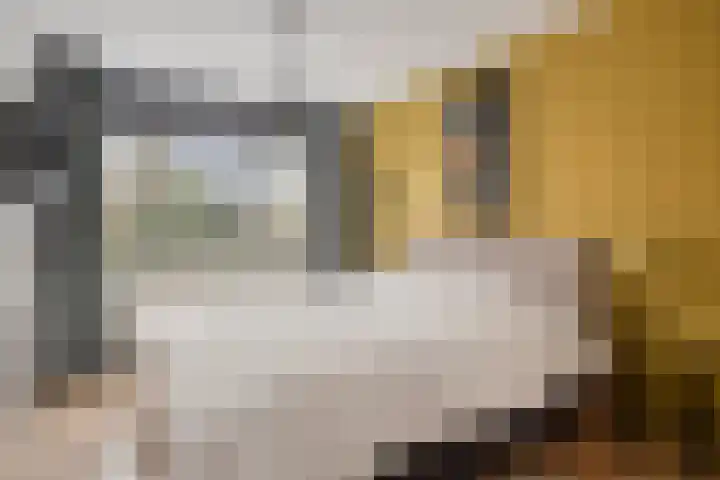 Sientje van Houtenlaan 21 Enschede thumbnail 21