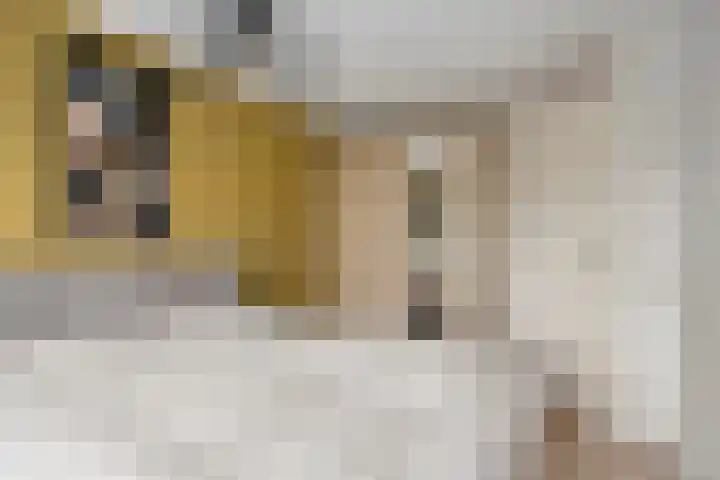 Sientje van Houtenlaan 21 Enschede thumbnail 22