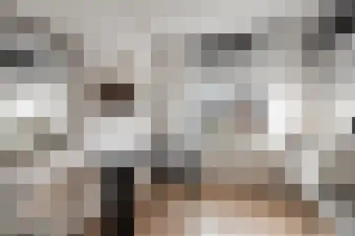Sientje van Houtenlaan 21 Enschede thumbnail 25