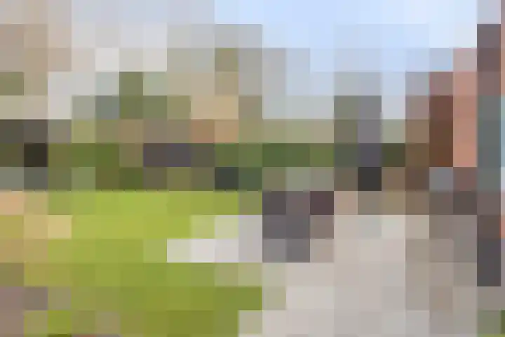 Sientje van Houtenlaan 21 Enschede thumbnail 31