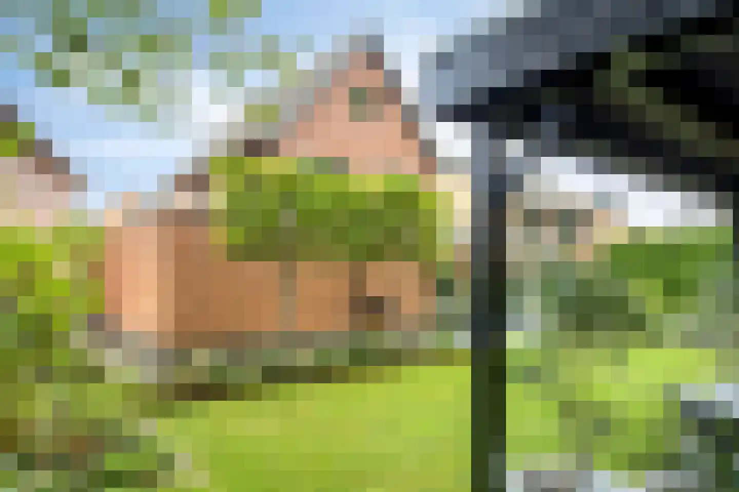Sientje van Houtenlaan 25 Enschede thumbnail 32