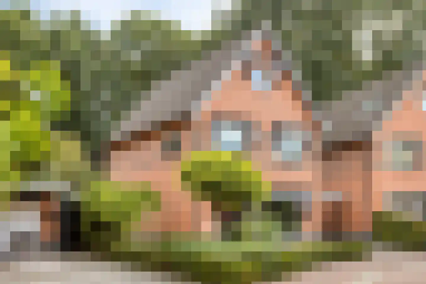 Sientje van Houtenlaan 25 Enschede thumbnail 38