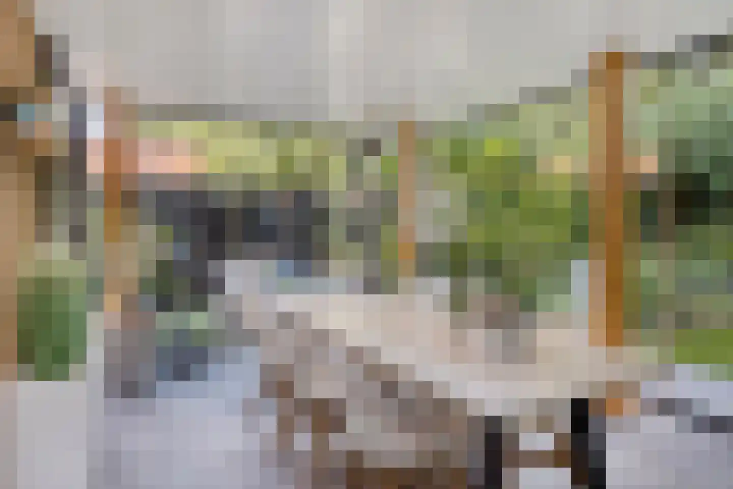 Sientje van Houtenlaan 25 Enschede thumbnail 4