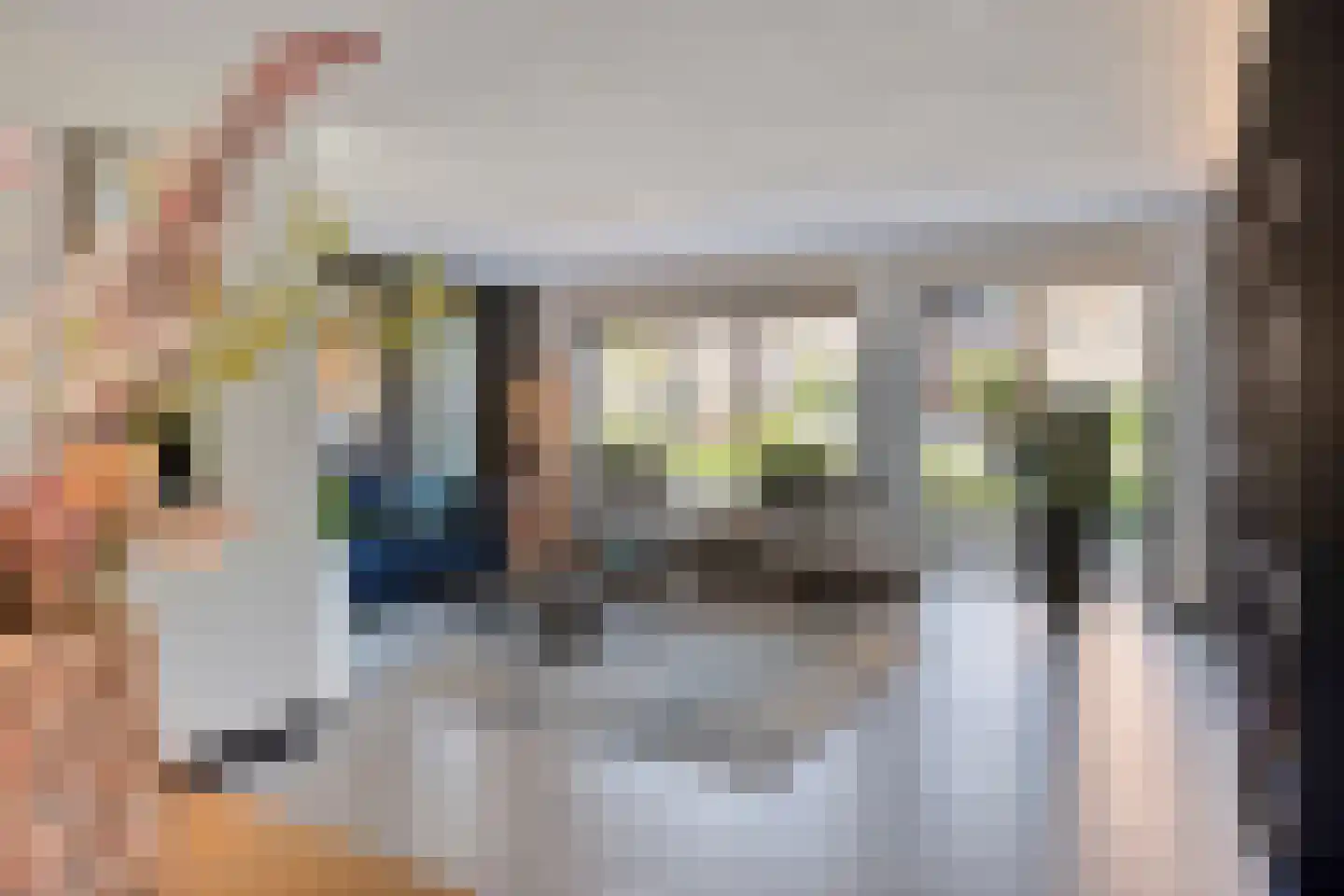 Sientje van Houtenlaan 25 Enschede thumbnail 7
