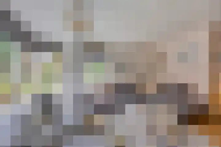 Sientje van Houtenlaan 42 Enschede thumbnail 12