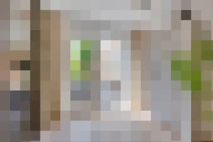 Sientje van Houtenlaan 42 Enschede thumbnail 28
