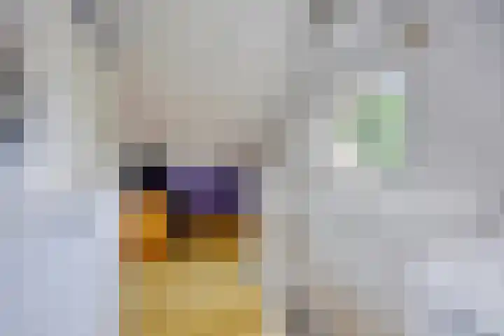 Sientje van Houtenlaan 42 Enschede thumbnail 36