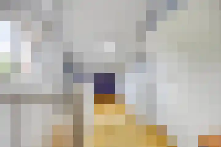 Sientje van Houtenlaan 42 Enschede thumbnail 37