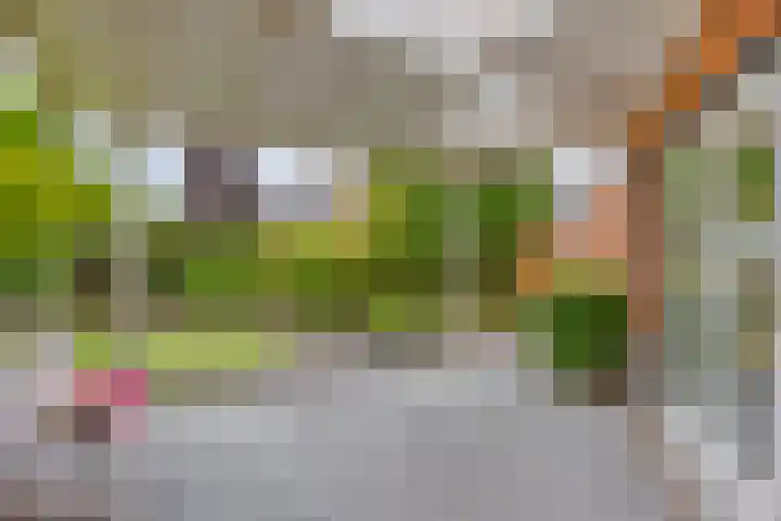 Sientje van Houtenlaan 42 Enschede thumbnail 42