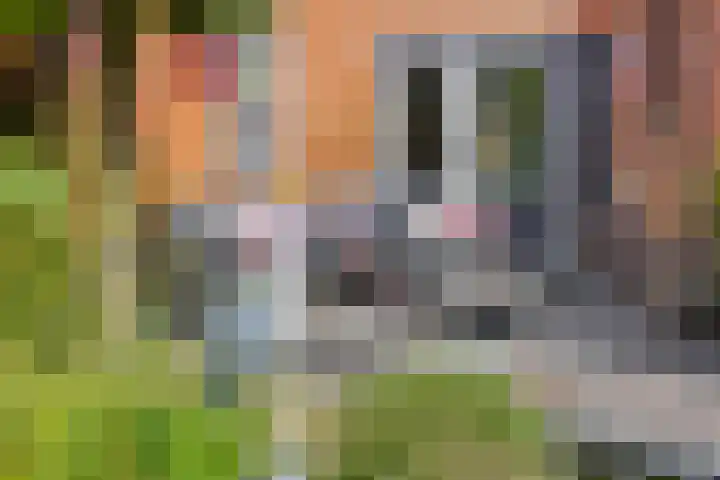 Sientje van Houtenlaan 42 Enschede thumbnail 44