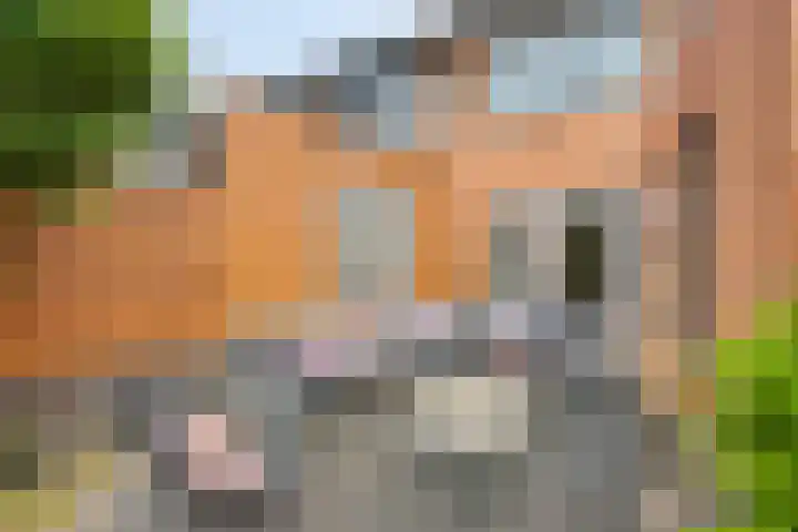 Sientje van Houtenlaan 42 Enschede thumbnail 45