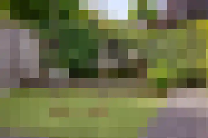 Sientje van Houtenlaan 42 Enschede thumbnail 47