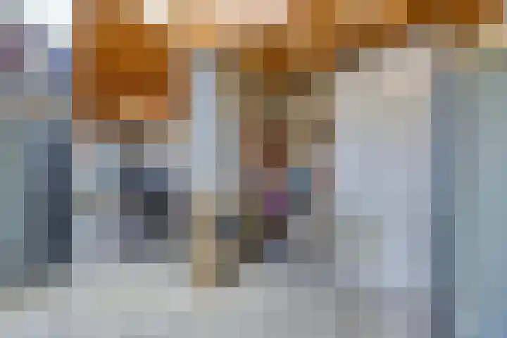 Sientje van Houtenlaan 42 Enschede thumbnail 50
