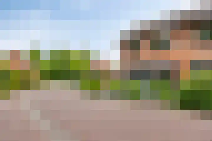 Sientje van Houtenlaan 42 Enschede thumbnail 6