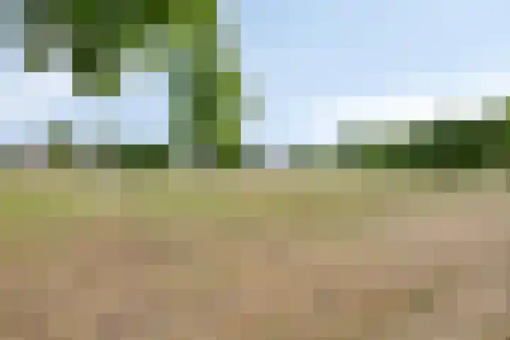 Sientje van Houtenlaan 42 Enschede thumbnail 62