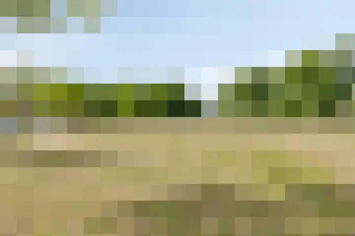 Sientje van Houtenlaan 42 Enschede thumbnail 64