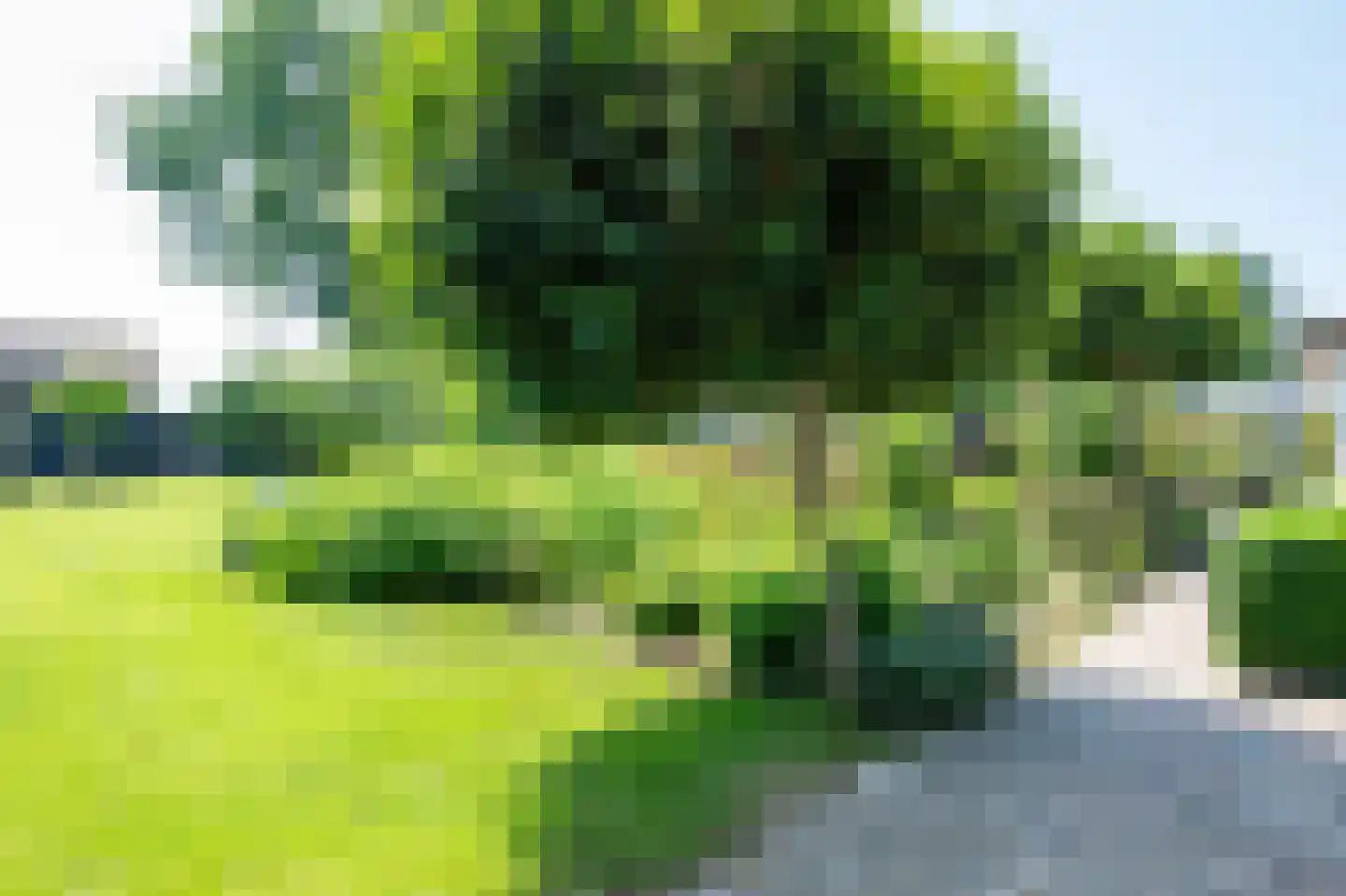 Siepelveenwijk ZZ 116 Nieuw-Weerdinge thumbnail 37