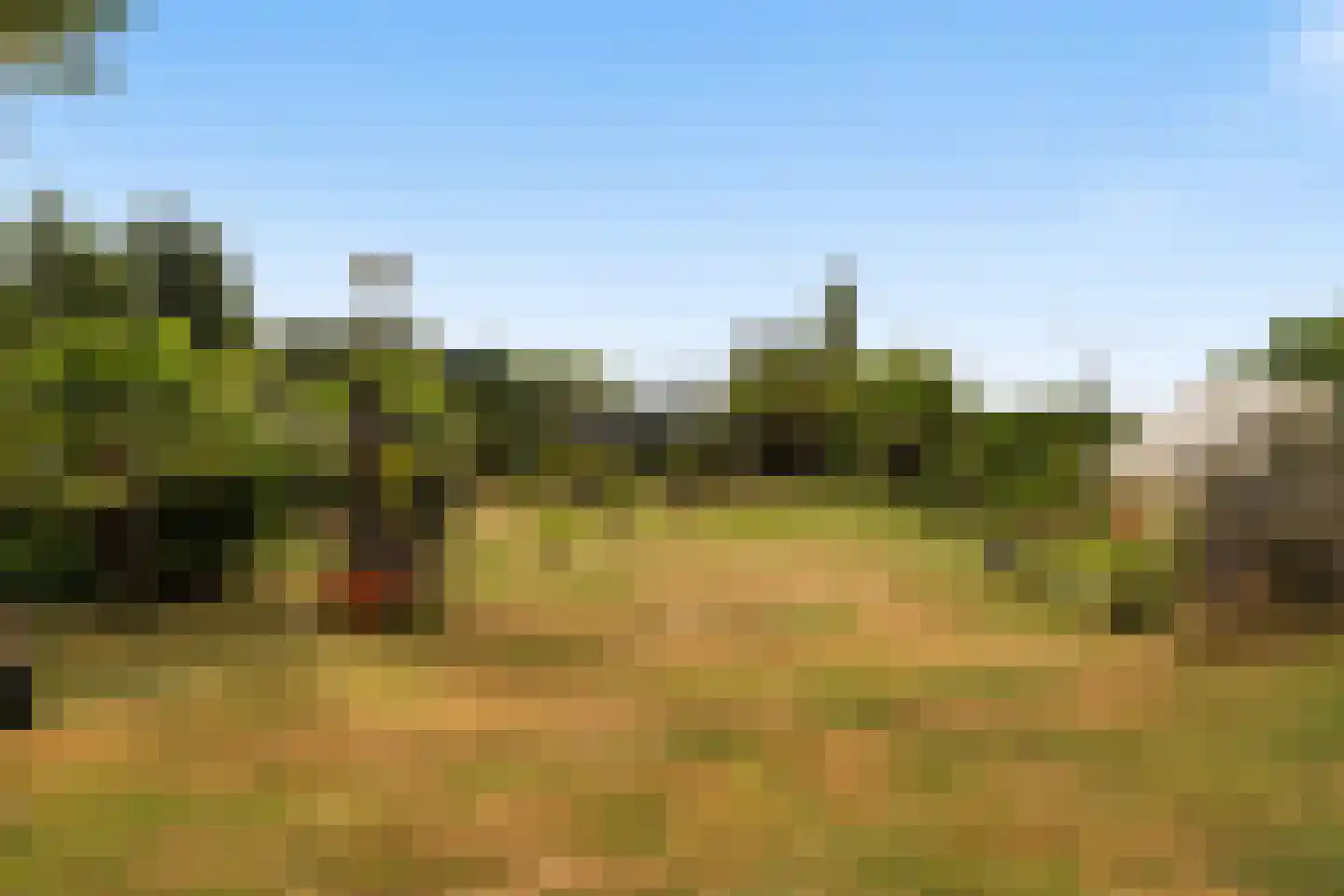 Siepelveenwijk ZZ 142 Nieuw-Weerdinge thumbnail 20