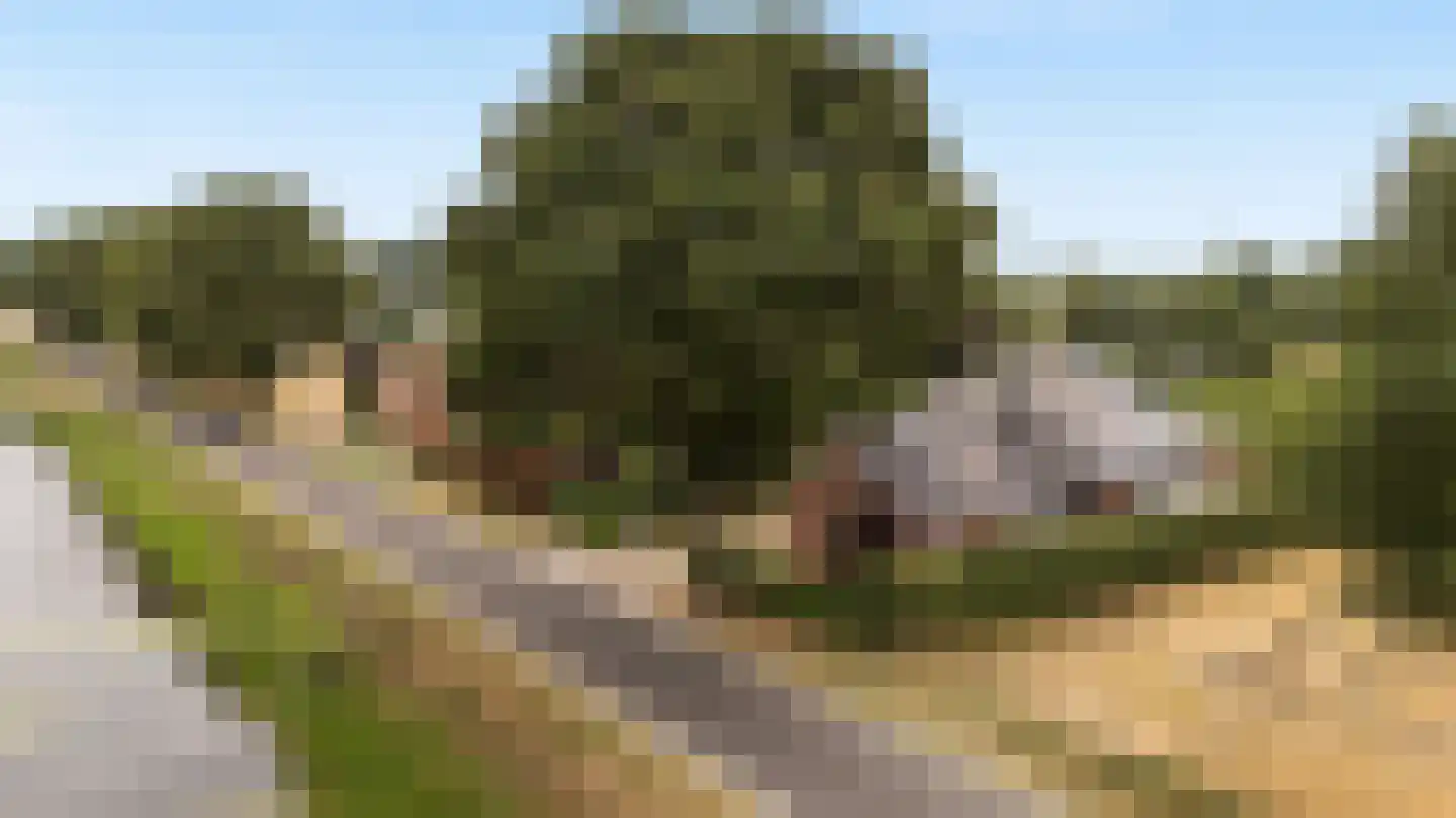 Siepelveenwijk ZZ 142 Nieuw-Weerdinge thumbnail 47