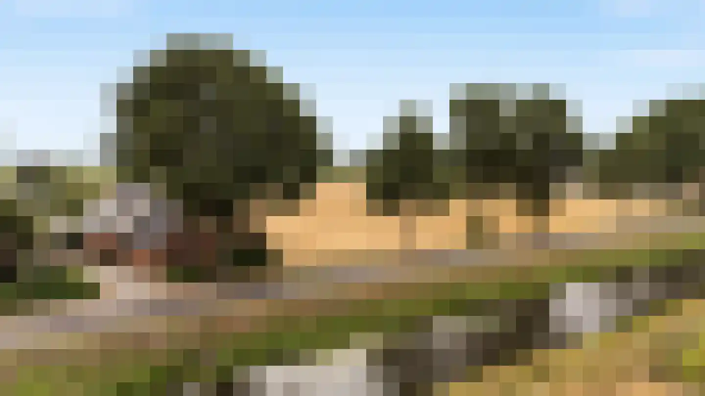 Siepelveenwijk ZZ 142 Nieuw-Weerdinge thumbnail 49