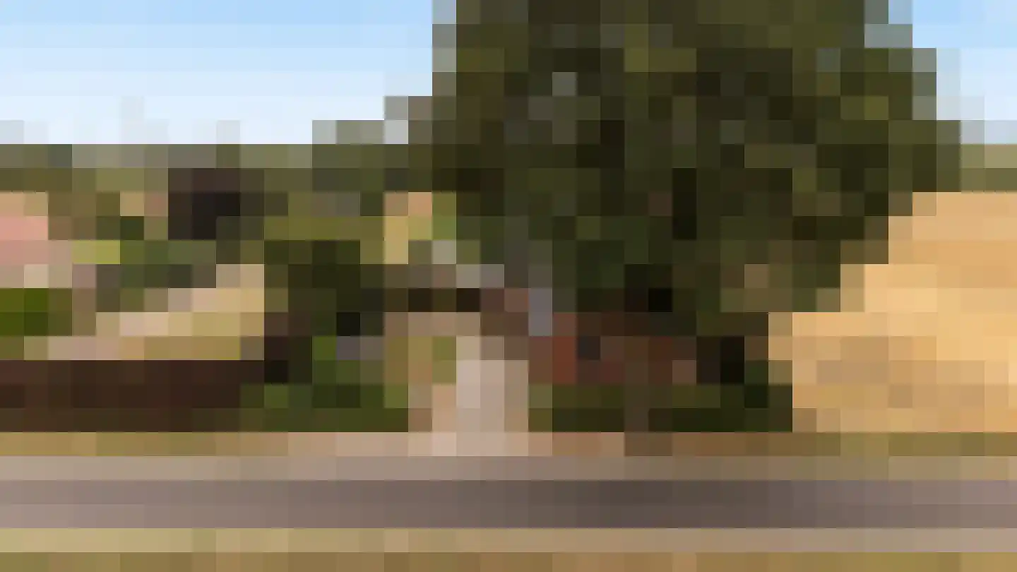 Siepelveenwijk ZZ 142 Nieuw-Weerdinge thumbnail 50