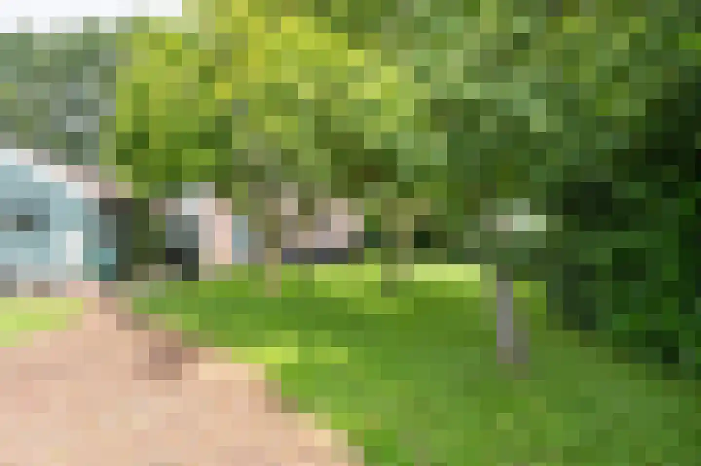 Siepelveenwijk ZZ 71 Nieuw-Weerdinge thumbnail 25