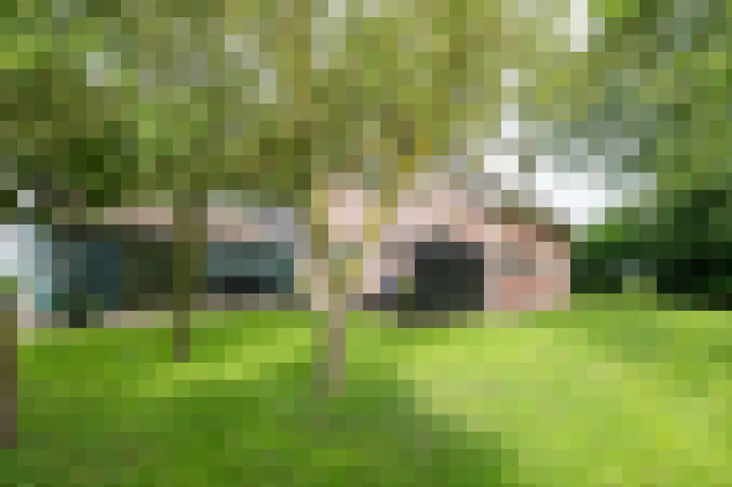 Siepelveenwijk ZZ 71 Nieuw-Weerdinge thumbnail 26