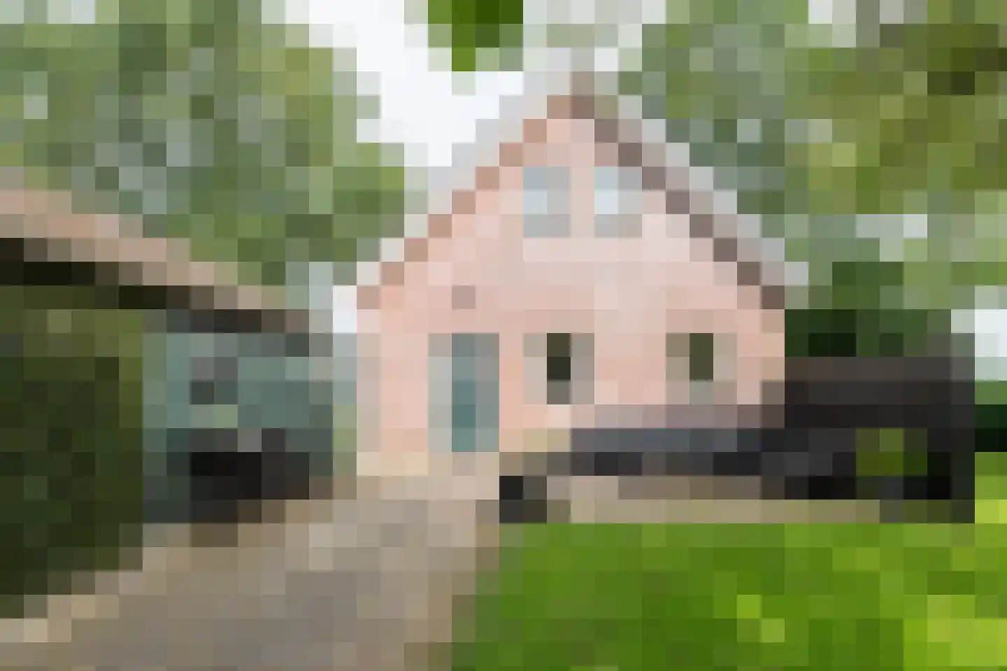 Siepelveenwijk ZZ 71 Nieuw-Weerdinge thumbnail 27