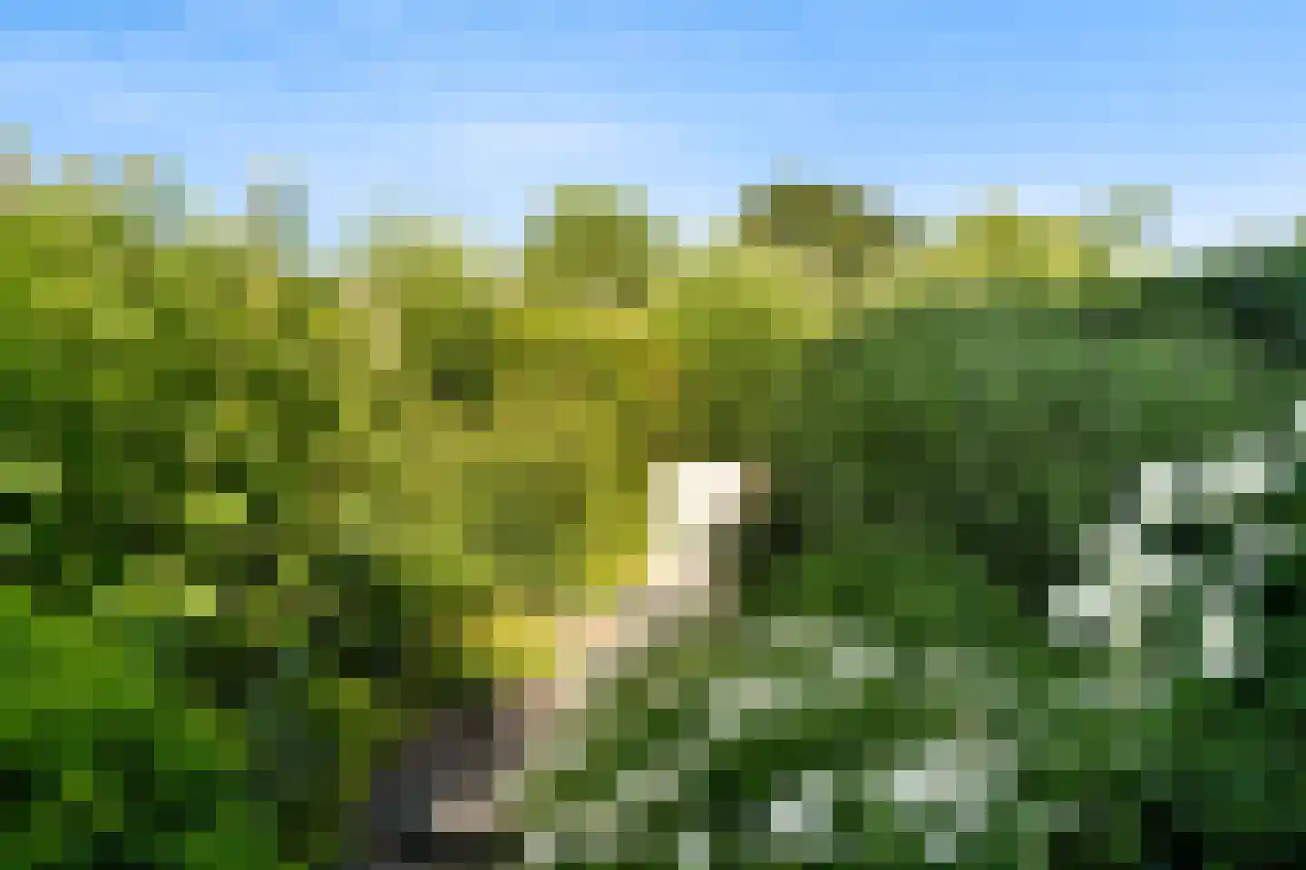 Sieraadlaan 31 Zoetermeer thumbnail 14