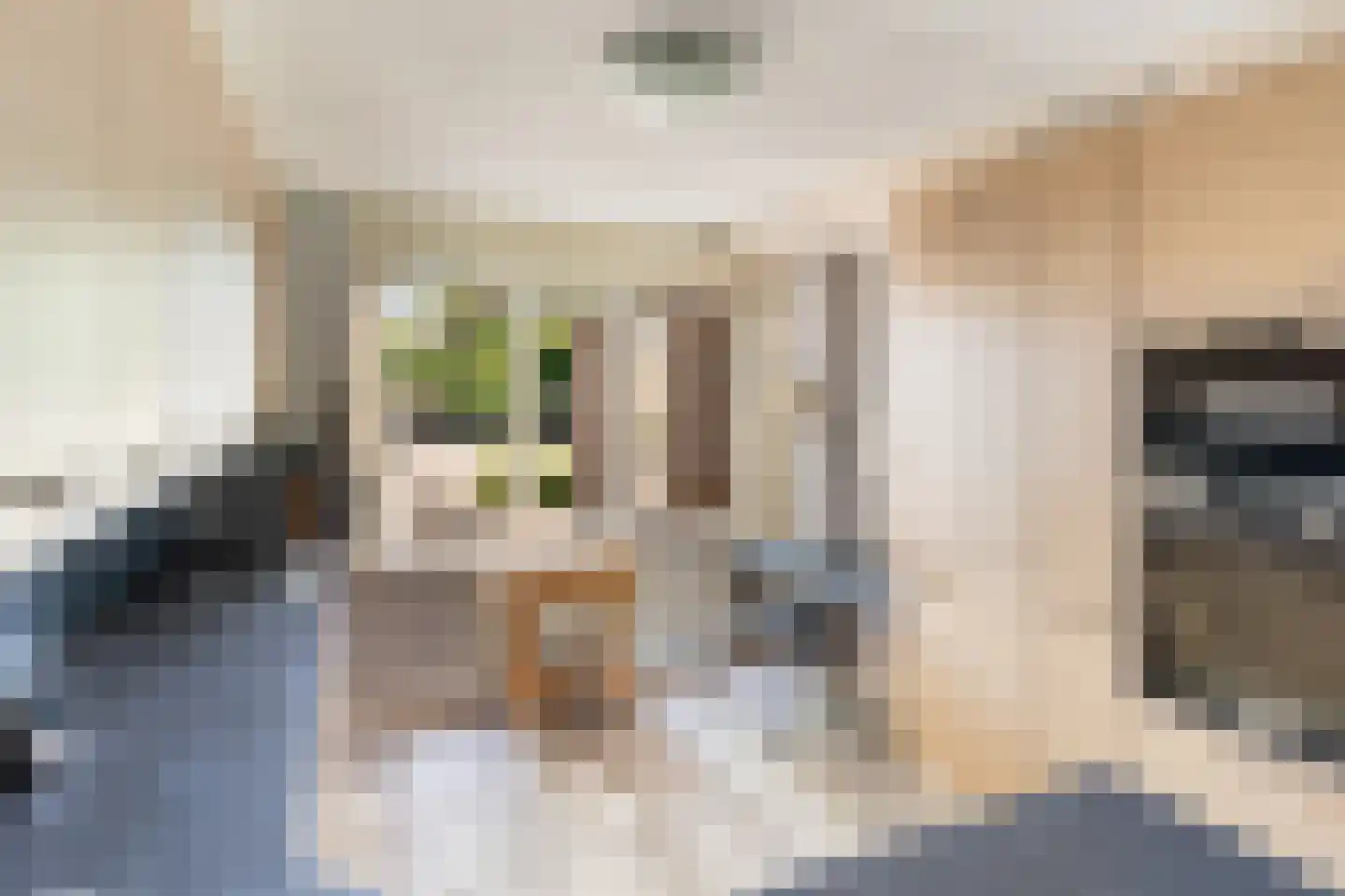 Sieraadlaan 31 Zoetermeer thumbnail 19