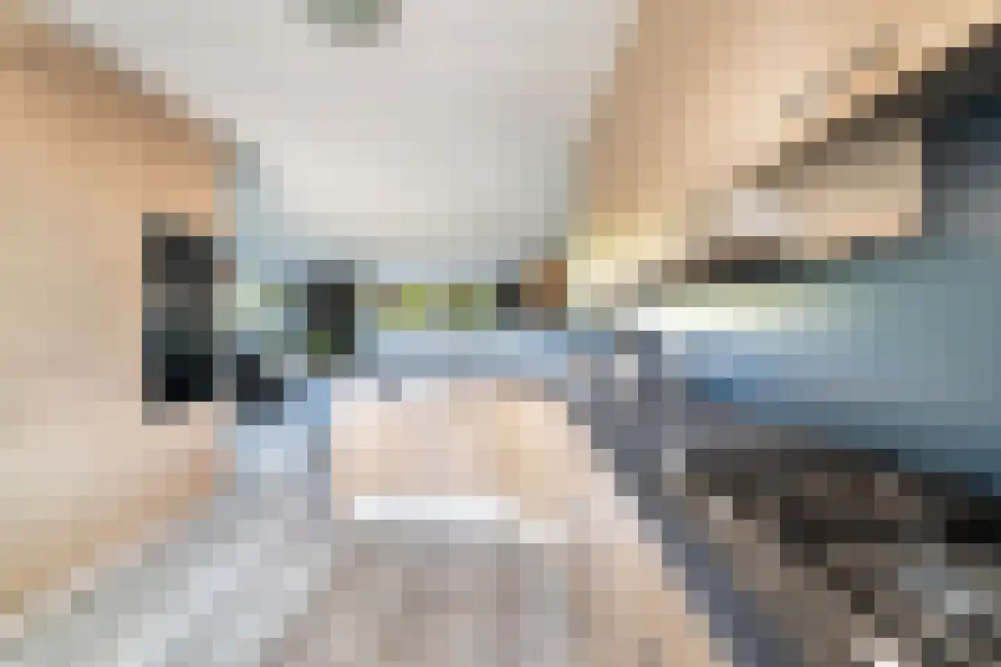Sieraadlaan 31 Zoetermeer thumbnail 21