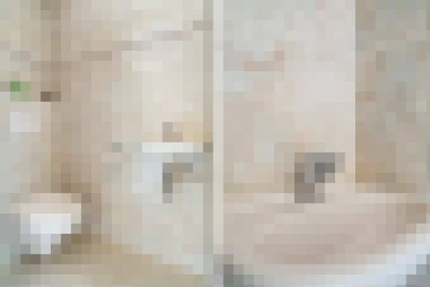 Sieraadlaan 31 Zoetermeer thumbnail 23