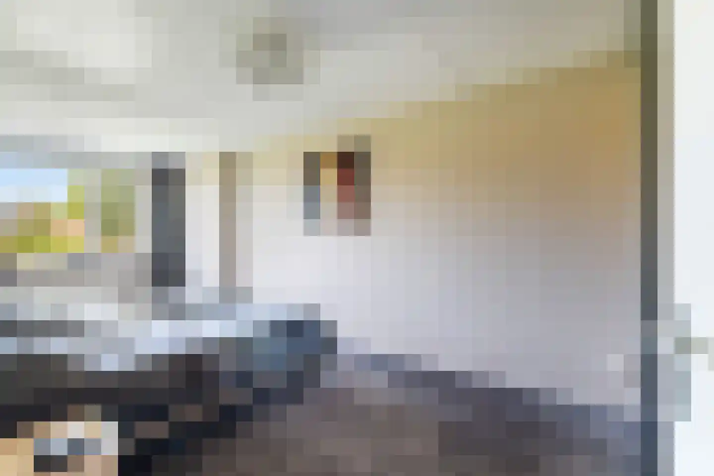 Sieraadlaan 31 Zoetermeer thumbnail 29