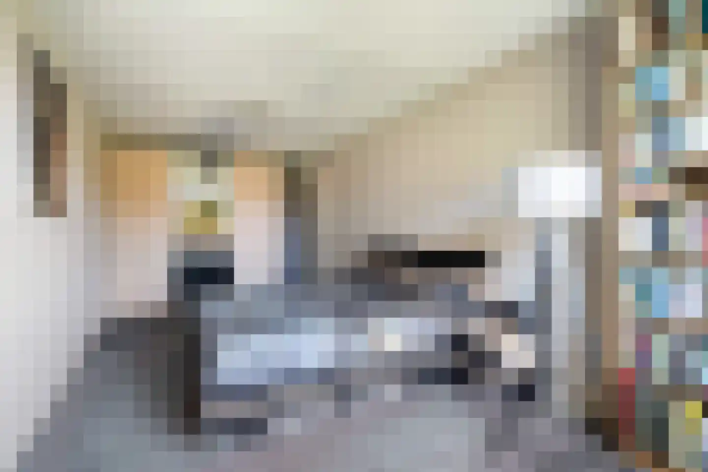 Sieraadlaan 31 Zoetermeer thumbnail 31