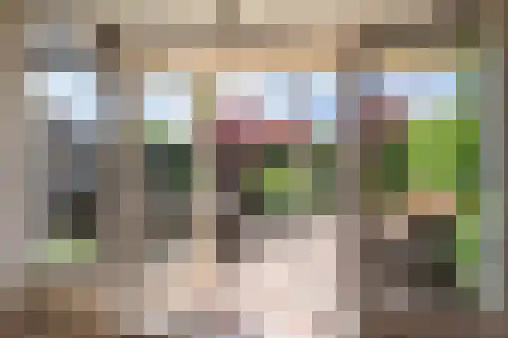 Sieraadlaan 45 Zoetermeer thumbnail 13