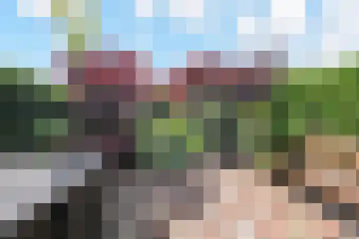 Sieraadlaan 45 Zoetermeer thumbnail 16