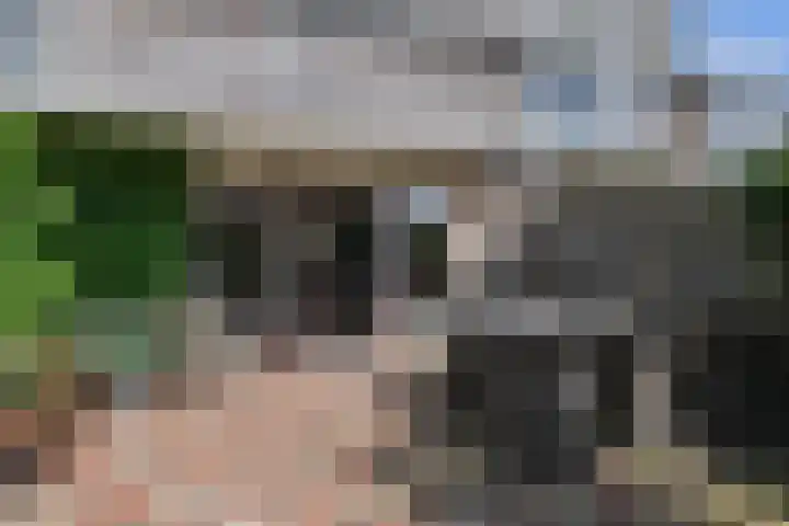 Sieraadlaan 45 Zoetermeer thumbnail 18