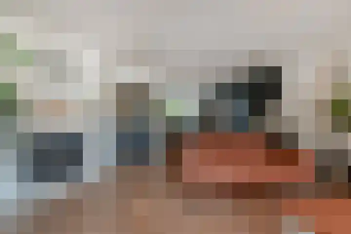 Sieraadlaan 45 Zoetermeer thumbnail 22