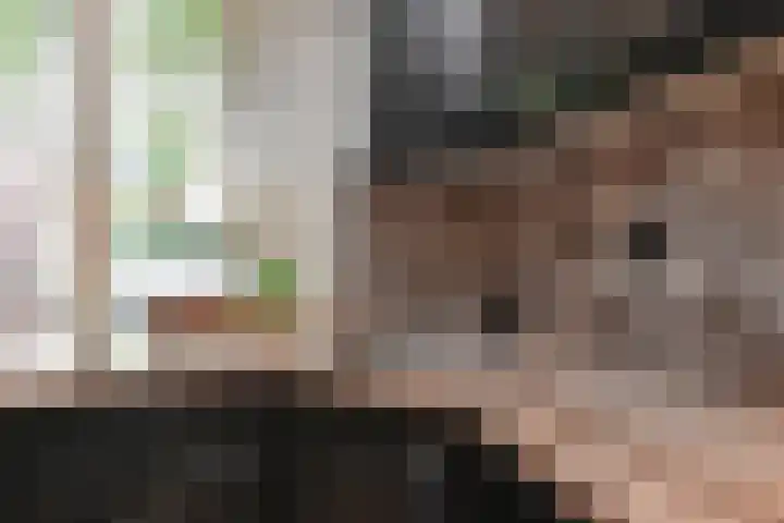 Sieraadlaan 45 Zoetermeer thumbnail 24