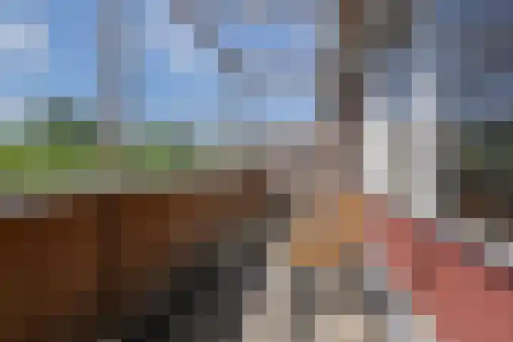 Sieraadlaan 45 Zoetermeer thumbnail 34