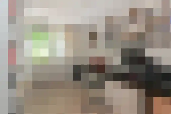 Sieraadlaan 45 Zoetermeer thumbnail 37