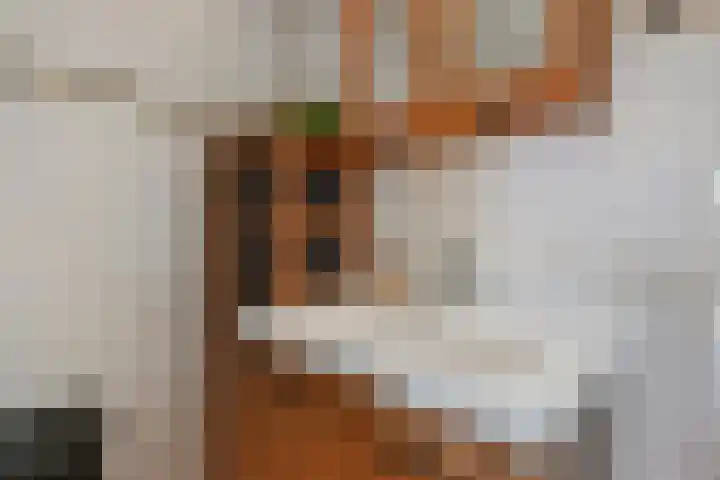 Sieraadlaan 45 Zoetermeer thumbnail 39