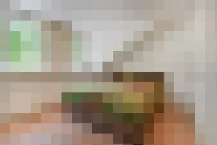 Sieraadlaan 45 Zoetermeer thumbnail 46