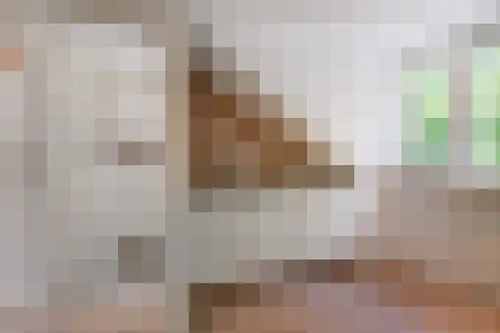 Sieraadlaan 45 Zoetermeer thumbnail 48